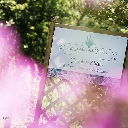 Bed and Breakfast Le Jardin Des Biches Somme-Leuze Esterno foto