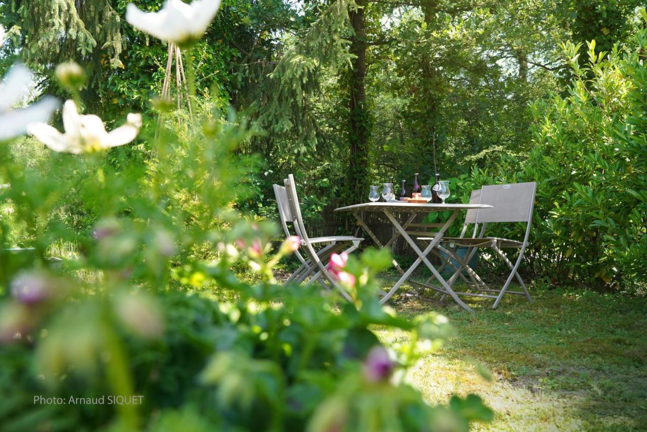 Bed and Breakfast Le Jardin Des Biches Somme-Leuze Esterno foto